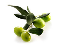 Plat : Olive AOC vierge extra de Provence